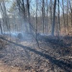 Hier zu sehen: die in Brand geratene Waldfläche in Jägersfreude. Foto: Facecook/Feuerwehr Dudweiler