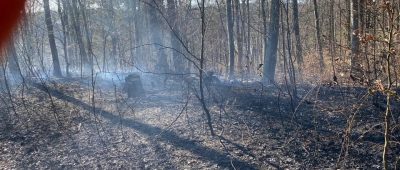 Hier zu sehen: die in Brand geratene Waldfläche in Jägersfreude. Foto: Facecook/Feuerwehr Dudweiler