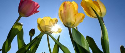 Temperaturen über 20 Grad sind in den nächsten Tagen im Saarland zu erwarten. Foto: Felix Kästle/dpa-Bildfunk