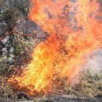 Die Gefahr von Feuern im Saarland steigt. Foto: Jan Woitas/dpa-Bildfunk