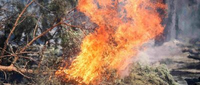 Die Gefahr von Feuern im Saarland steigt. Foto: Jan Woitas/dpa-Bildfunk