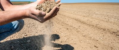 Die Trockenheit stellt für die Landwirtschaft im Saarland aktuell ein großes Problem dar. Symbolfoto: dpa-Bildfunk/Armin Weigel