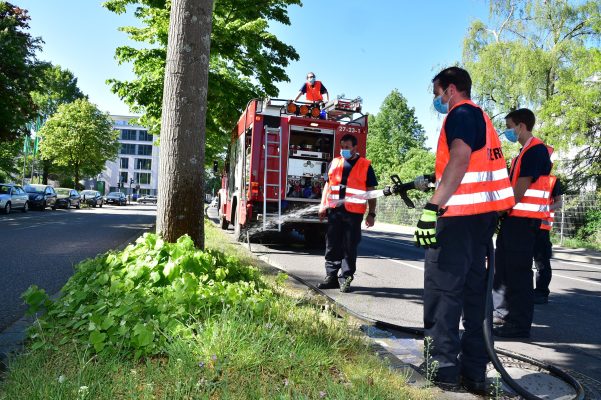 Die Feuerwehren in Saarbrücken unterstützten das Grünamt beim Bewässern von Bäumen im Stadtgebiet. Foto: BeckerBredel