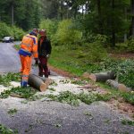 Umgestürzte Bäume sorgten für Streckensperrungen im Saarland. Foto: Florian Blaes