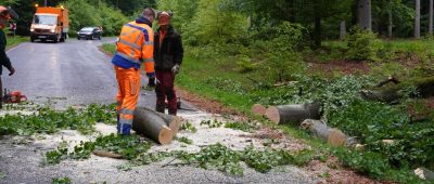 Umgestürzte Bäume sorgten für Streckensperrungen im Saarland. Foto: Florian Blaes