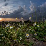 Am Wochenende erwarten das Saarland viele Wolken und Schauer, aber auch etwas Sonne. Archivfoto: BeckerBredel