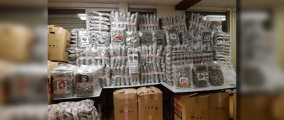 538 Kilogramm Cannabis wurden sichergestellt. Foto: Zoll