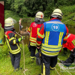 Der Feuerwehr gelang es, die Tiere zu befreien. Fotos: Facebook/Freiwillige Feuerwehr Saarbrücken