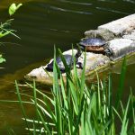 An der Saar wird es in der ersten Woche nach Sommeranfang bis zu 30 Grad warm. Symbolfoto: BeckerBredel