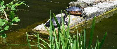 An der Saar wird es in der ersten Woche nach Sommeranfang bis zu 30 Grad warm. Symbolfoto: BeckerBredel