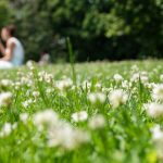 Im Saarland wird es in den kommenden Tagen sommerlich heiß. Foto: Jonas Klüter/dpa-Bildfunk