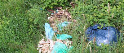 Die Ablagerungen wurden illegal in der Wiese entsorgt. Foto: Homburg