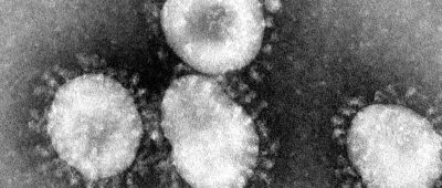 Ein Coronavirus unter dem Mikroskop. Foto: Center for Disease Control/epa/dpa/Archivbild