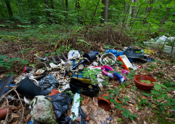 Die Gemeinde Ensdorf kämpft aktuell gegen Umweltsünder, die ihren Müll einfach in der Natur abladen. Symbolfoto: Patrick Pleul/dpa