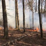 Die Gefahr von Waldbränden nimmt in den kommenden Tagen im Saarland zu. Symbolfoto: Dirk Schäfer/Feuerwehr