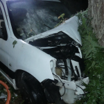 Der Wagen kollidierte frontal mit einem Baum. Foto: Polizei