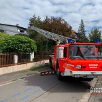 Per Drehleiter wurden die beiden Katzen gerettet. Foto: Facebook/@feuerwehrdillingen