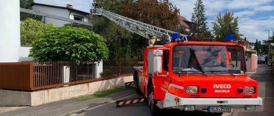 Per Drehleiter wurden die beiden Katzen gerettet. Foto: Facebook/@feuerwehrdillingen