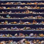 Herbstlich bleibt es im Saarland. Foto:  Arne Dedert/dpa-Bildfunk