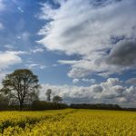 In den kommenden Tagen wird im Saarland wechselhaftes Wetter erwartet. Foto: Frank Molter/dpa-Bildfunk