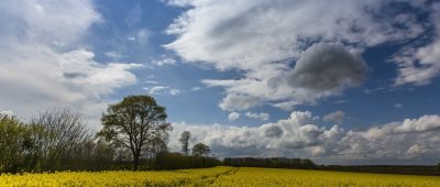 In den kommenden Tagen wird im Saarland wechselhaftes Wetter erwartet. Foto: Frank Molter/dpa-Bildfunk