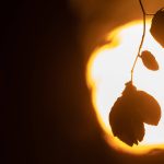 Sommerlich warm könnte es am Sonntag im Saarland werden. Foto: Sebastian Gollnow/dpa-Bildfunk