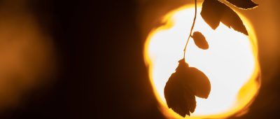 Sommerlich warm könnte es am Sonntag im Saarland werden. Foto: Sebastian Gollnow/dpa-Bildfunk