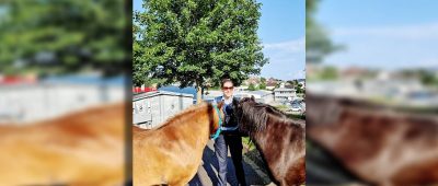 Die Kräfte der Polizei Zweibrücken haben sich gut um die ausgebüxten Ponys gekümmert. Foto: Polizei Zweibrücken