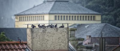 Die aktuellen Nachrichten aus dem Saarland im Überblick: Symbolfoto: BeckerBredel