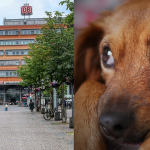 Die Tat soll sich am Saarbrücker Bahnhof ereignet haben. Fotos: Pixabay